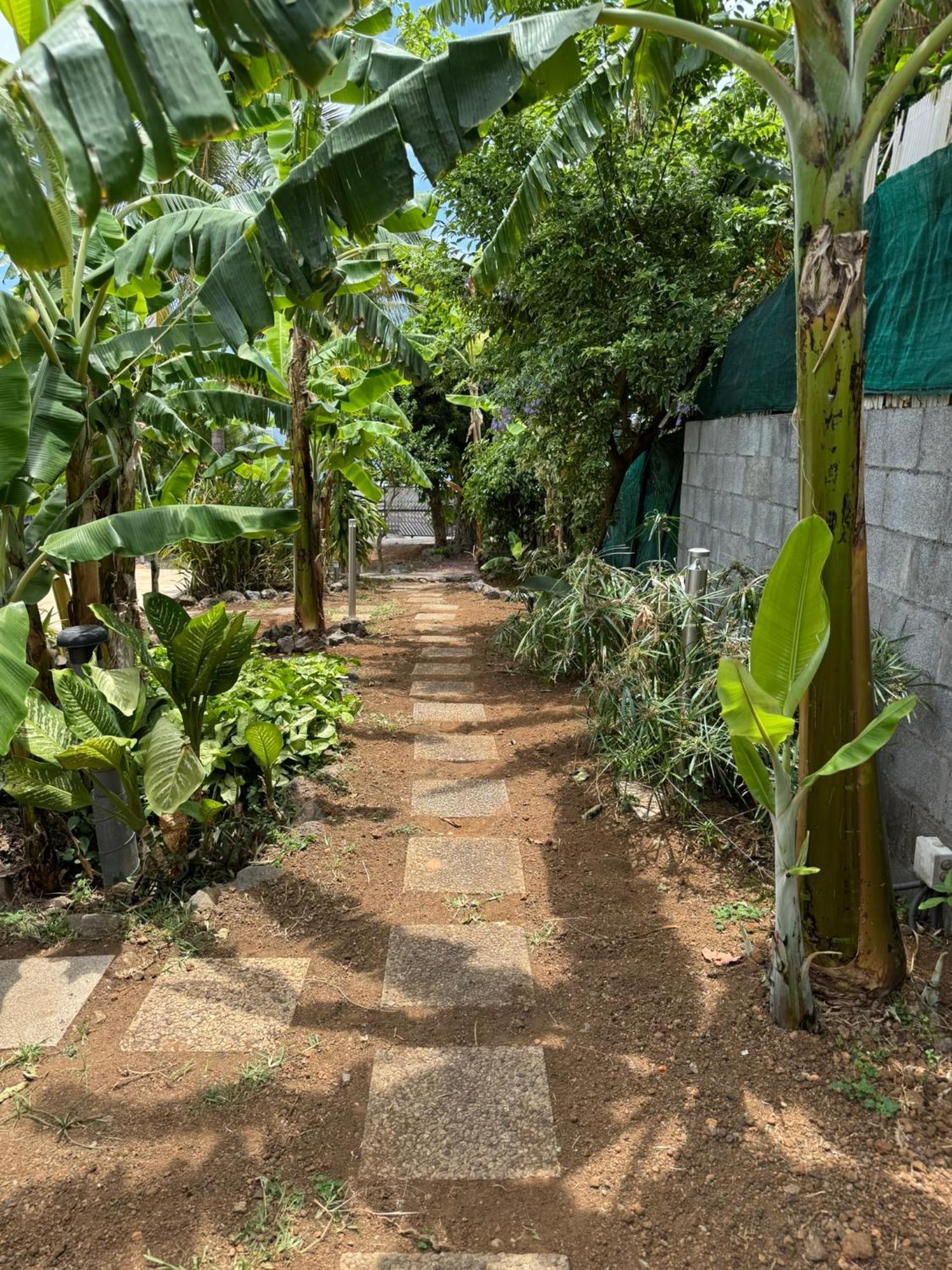 La Bananeraie Apt 35M2 Piscine Jardin Tropical Parking Prive Saint-Leu Exterior photo